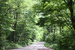 新緑の森と田沢湖々畔の車道