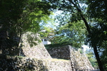 深緑期の郡上八幡城「高石垣と隅櫓」