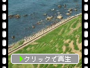 夏の能登半島「白米の千枚田」と日本海