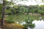 夏の金閣寺「鏡湖池」