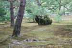 夏の金閣寺「庭園と岩」