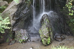 夏緑の金閣寺「龍門滝」と「鯉魚石」