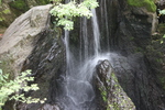 夏緑の金閣寺「龍門滝」と「鯉魚石」