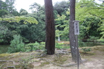 夏の金閣寺「安民澤」