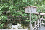 夏の金閣寺「夕佳亭」の富士形手洗鉢