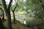 夏緑の金閣寺「鏡湖池」