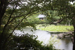 夏の京都・龍安寺「鏡容池」