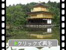京都「金閣寺」の遠景