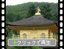 京都・金閣寺の「金閣」近景