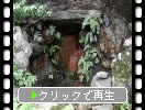 京都・金閣寺の「銀河泉」と「巌下水」