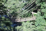 深緑期の吊橋「かずら橋」