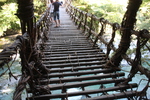 深緑期の吊橋「かずら橋」近景