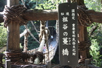 深緑期の吊橋「祖谷の葛橋」標識