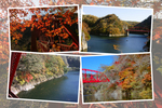 秋の「神龍湖」と「赤い橋」