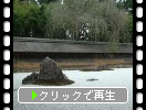 夏の京都・龍安寺「石庭」