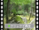 京都・龍安寺の苔庭と苔岩