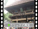 人吉「青井阿蘇神社」の楼門と伝統芸能