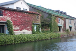 小樽運河の秋と紅葉