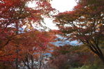 秩父「三峯神社」周辺の秋風情