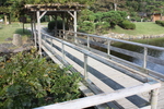 浜離宮の「お伝い橋」