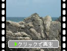 土佐・室戸岬の名前が付いた岩たち