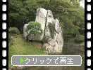 岡山後楽園の「大立石」と「花葉の池」