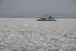 流氷原と観光船