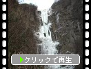 阿蘇「「古閑の滝」の氷結した女滝