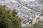 権現山の「神倉神社」から見た新宮の市街地