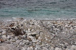 海辺の「白崎海岸」の石群