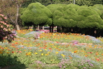 能古島の春花壇