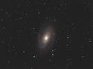 銀河　M81