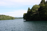 初夏の野尻湖「緑葉期の湖畔と島」