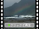 屋久島「粟生海中公園」と虹