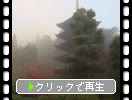 朝霧に煙る山口・瑠璃光寺「五重塔」