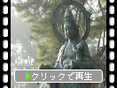山口・瑠璃光寺の朝霧と観音像