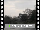 冬の「福岡城（舞鶴城）」の濠と野鳥