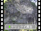 夏の榛名神社「巨岩・行者渓
・神橋」