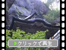夏の榛名神社「双龍門」