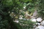 緑葉期の峡谷と渓流