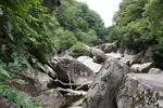 峡谷の流木と巨石群
