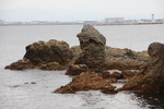 男女岩（夫婦岩）の岩礁