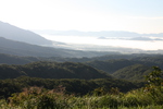 蒜山高原の雲海