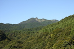 「蒜山大山」周辺の山と森