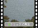 十和田湖のさざ波