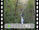 奥入瀬の「雲井の滝」秋景
