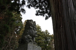 戸隠神社中社の狛犬