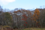戸隠高原・「鏡池」周辺の秋景色