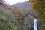 晩秋の妙高「苗名滝」