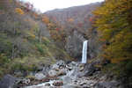 晩秋の妙高「苗名滝」と渓流